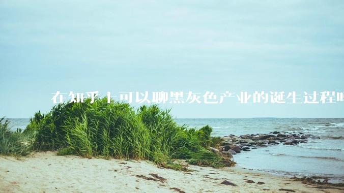 在知乎上可以聊黑灰色产业的诞生过程吗？