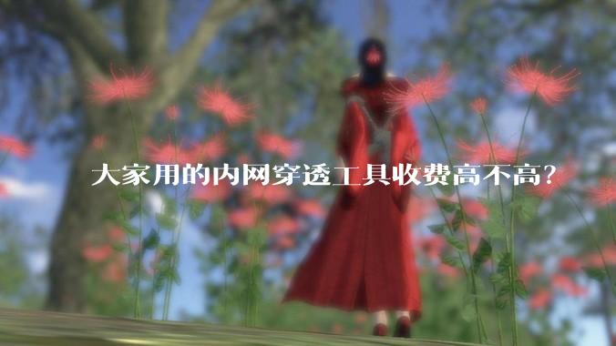大家用的内网穿透工具收费高不高？