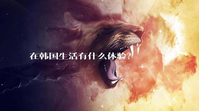 在韩国生活有什么体验？