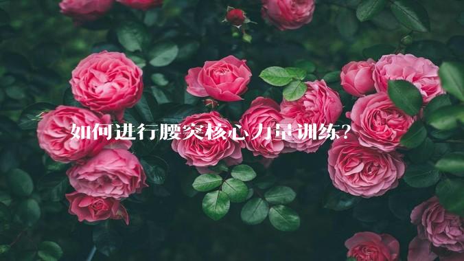 如何进行腰突核心力量训练？